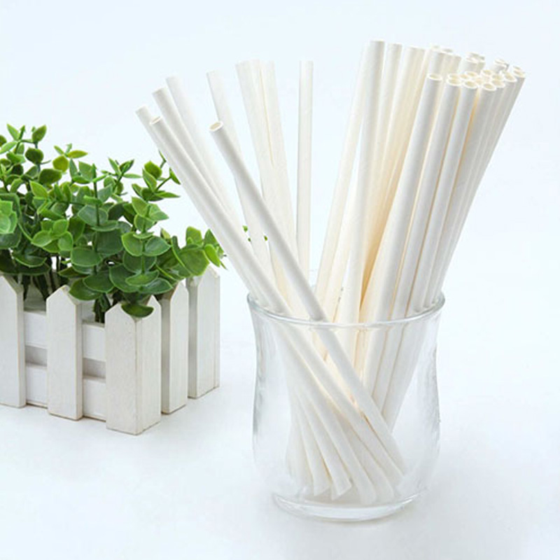 Disposable biodegradable PLA straw